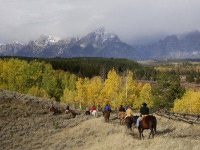 Tourists Enjoying Horseback Riding, Grand Teton National Park, Wyoming, Usa by Rolf Nussbaumer Pricing Limited Edition Print image