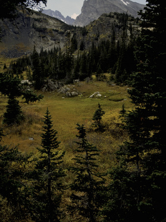 Colorfull Fall Landscape, Colorado by Michael Brown Pricing Limited Edition Print image