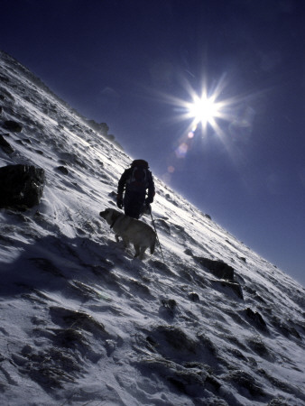 Man With Dog Climbing Arapahoe Peak In Strong Wind And Snow, Colorado by Michael Brown Pricing Limited Edition Print image