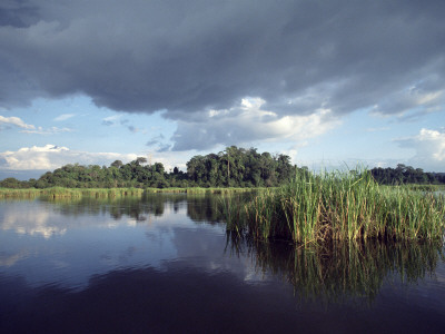 Crocodile Lake, Cat Tien Np. Unesco World Biosphere Reserve, South Vietnam by George Chan Pricing Limited Edition Print image