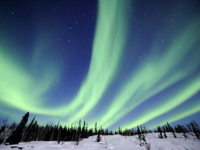 Northern Lights Northwest Territories, March 2008, Canada by Eric Baccega Pricing Limited Edition Print image