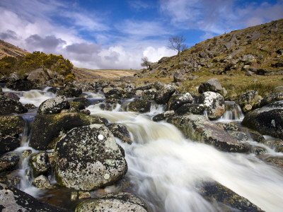 Rocky Stream At Tavy Cleave, Dartmoor Np, Devon, Uk by Adam Burton Pricing Limited Edition Print image