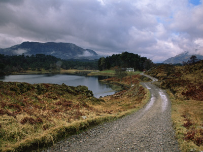 Track Leading To Cottage On The Shores Of Glen Affric, Highlands Of Scotland by Adam Burton Pricing Limited Edition Print image