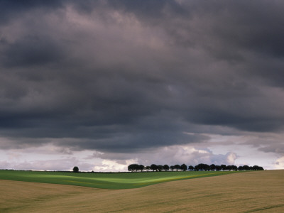 Thunder Clouds In Sky Over A Distant Row Of Trees On The South Downs, Hampshire, Uk by Adam Burton Pricing Limited Edition Print image