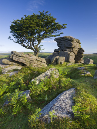 Summer Morning At Rocky Outcrop Near Saddle Tor In Dartmoor National Park, Devon, England, 2008 by Adam Burton Pricing Limited Edition Print image