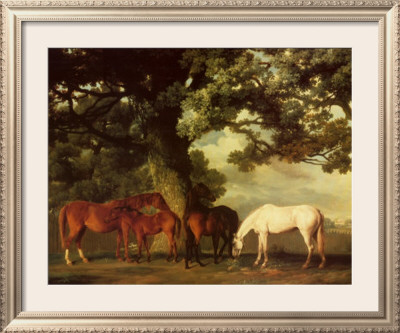 Green Pastures by George Stubbs Pricing Limited Edition Print image