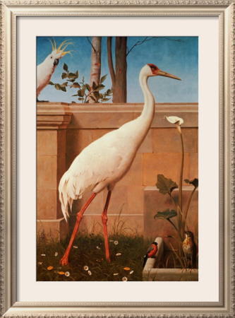 Indian Crane, Cockatoo, Bullfinch And Thrush by Henry Stacey Marks Pricing Limited Edition Print image