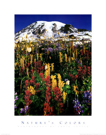 Mt. Rainier by Craig Tuttle Pricing Limited Edition Print image