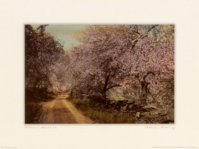 Blossom Bordered by Wallace Nutting Pricing Limited Edition Print image