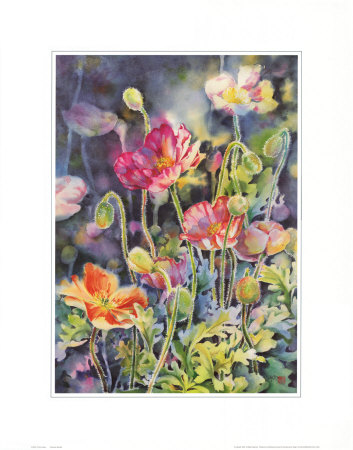 Perfect Poppy by Sally Bly Pricing Limited Edition Print image