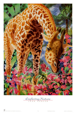 Exploring Nature by Joan Hansen Pricing Limited Edition Print image