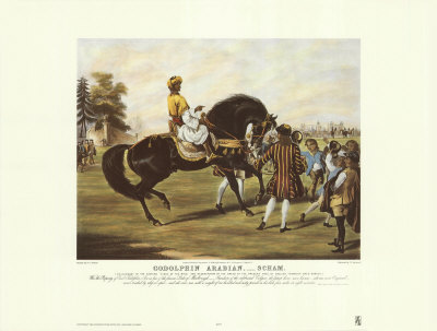 Godolphin Arabian, Scham by Francis Calcraft Turner Pricing Limited Edition Print image