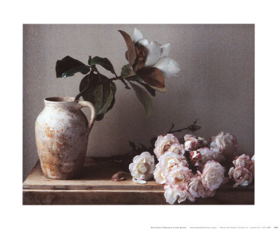 Rosa 'Handel' And Magnolia by Linda Burgess Pricing Limited Edition Print image