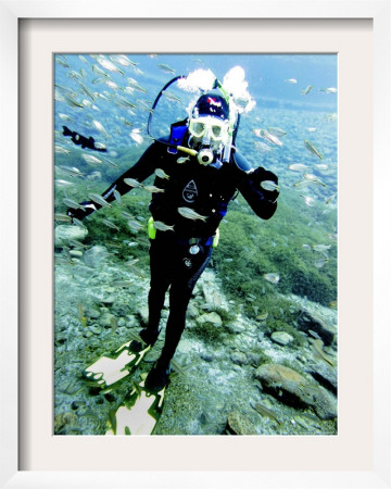 Desert Diving, Toyahvale, Texas by Lm Otero Pricing Limited Edition Print image