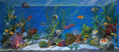 Acquario by Isabella Cuccato Pricing Limited Edition Print image