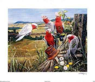 Quintet - Galahs by Garry Fleming Pricing Limited Edition Print image
