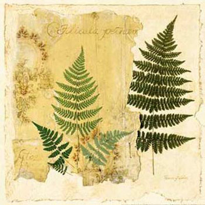 Pressed Ferns I by Pamela Gladding Pricing Limited Edition Print image