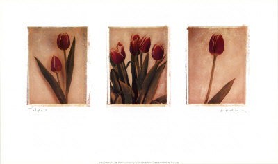 Tulips by Amy Melious Pricing Limited Edition Print image