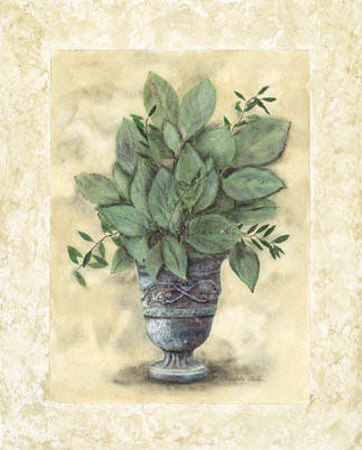 Elegant Foliage I by Charlene Winter Olson Pricing Limited Edition Print image