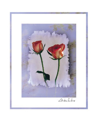 Rose by Edoardo Sardano Pricing Limited Edition Print image