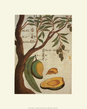 Mango Tree by Michael Boym Pricing Limited Edition Print image