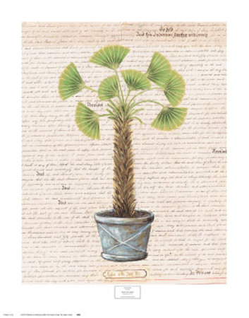 Palm With Zinc Pot by Samantha Archetti Pricing Limited Edition Print image