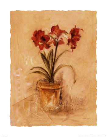 Secret Amaryllis Ii by Cheri Blum Pricing Limited Edition Print image