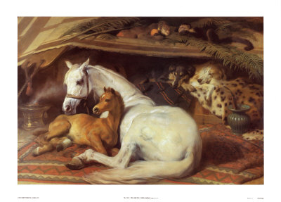 Arab Tent by Edwin Henry Landseer Pricing Limited Edition Print image