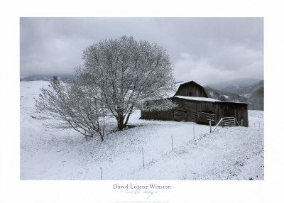 Icicle Magic by David Winston Pricing Limited Edition Print image