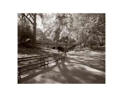 May In Manhattan I by Sondra Wampler Pricing Limited Edition Print image