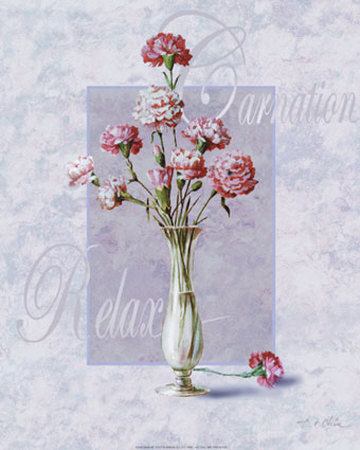 Carnation by T. C. Chiu Pricing Limited Edition Print image