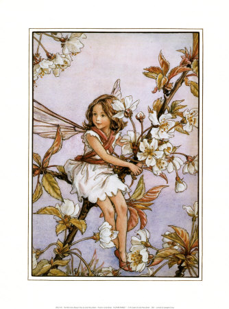 The Wild Cherry Blossom Fairy by Cicely Mary Barker Pricing Limited Edition Print image