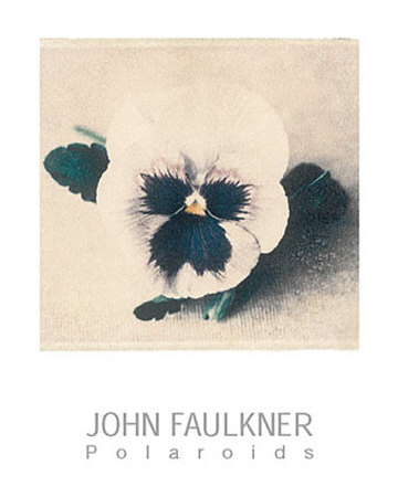 Pansy by John Faulkner Pricing Limited Edition Print image