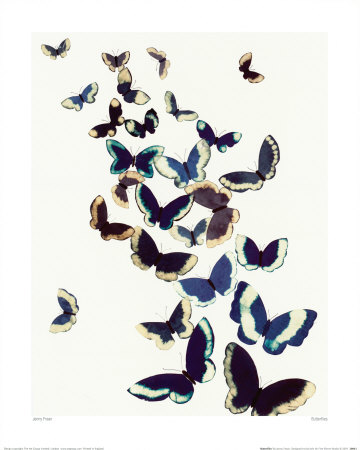 Butterflies by Jenny Frean Pricing Limited Edition Print image