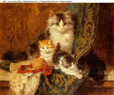 Cat And Three Kittens by Henriette Knip Pricing Limited Edition Print image