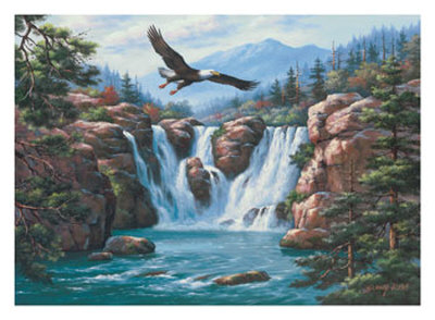 Soaring Eagle by Sung Kim Pricing Limited Edition Print image