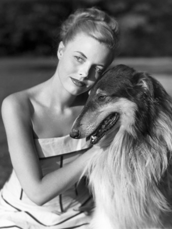 Portrait Of Woman With Her Collie by George Marks Pricing Limited Edition Print image