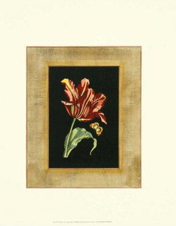 Tulip In Frame Iv by Deborah Bookman Pricing Limited Edition Print image