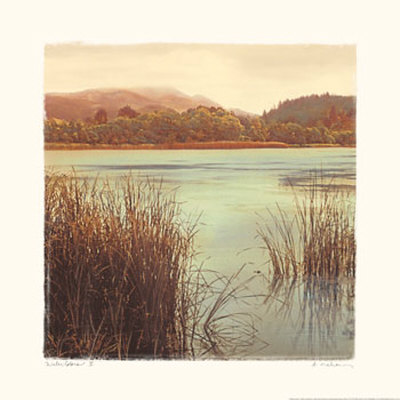 Water Colors Ii by Amy Melious Pricing Limited Edition Print image