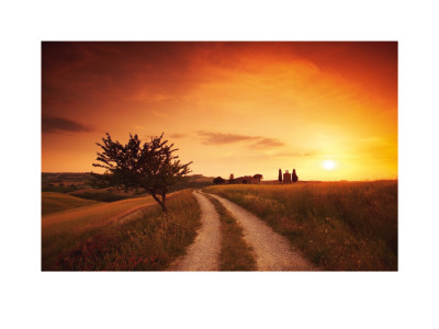 Under The Tuscan Sun by Tom Mackie Pricing Limited Edition Print image