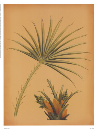 Palm Frond I by Wilbur Pricing Limited Edition Print image