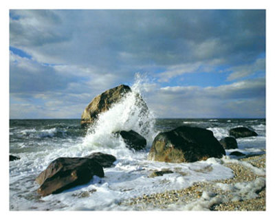 Ocean Spray by Daniel Jones Pricing Limited Edition Print image