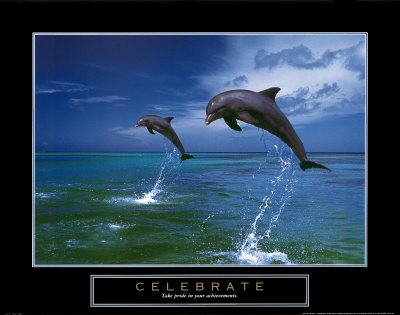 Celebrate: Dolphins by Craig Tuttle Pricing Limited Edition Print image