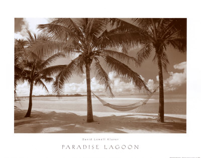 Paradise Lagoon by David L. Kluver Pricing Limited Edition Print image