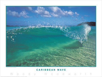 Caribbean Wave by Woody Woodworth Pricing Limited Edition Print image