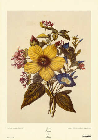 Seasons by Pierre-Joseph Redouté Pricing Limited Edition Print image