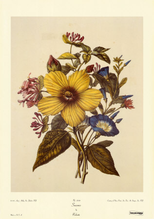 Seasons by Pierre-Joseph Redoute Pricing Limited Edition Print image