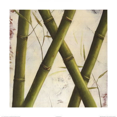 Bamboosa Guadua I by Patricia Quintero-Pinto Pricing Limited Edition Print image