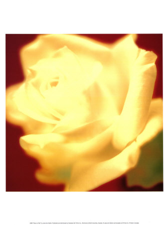 Rose On Red by Jane Ann Butler Pricing Limited Edition Print image