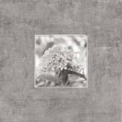 Hydrangea On Pewter by Claire Beaumont Pricing Limited Edition Print image